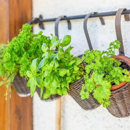 In Styria Near Thermal Spas *