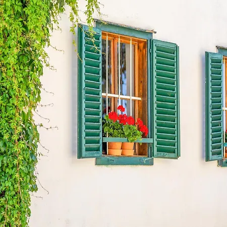 In Styria Near Thermal Spas *