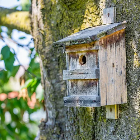 In Styria Near Thermal Spas Casa vacanze *