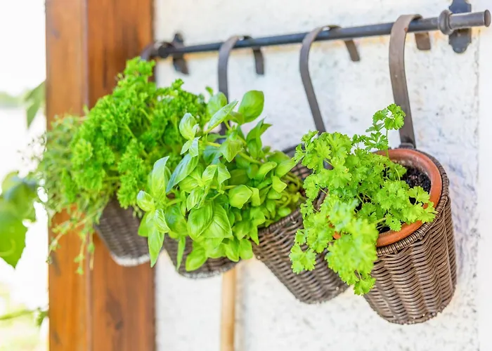 In Styria Near Thermal Spas *