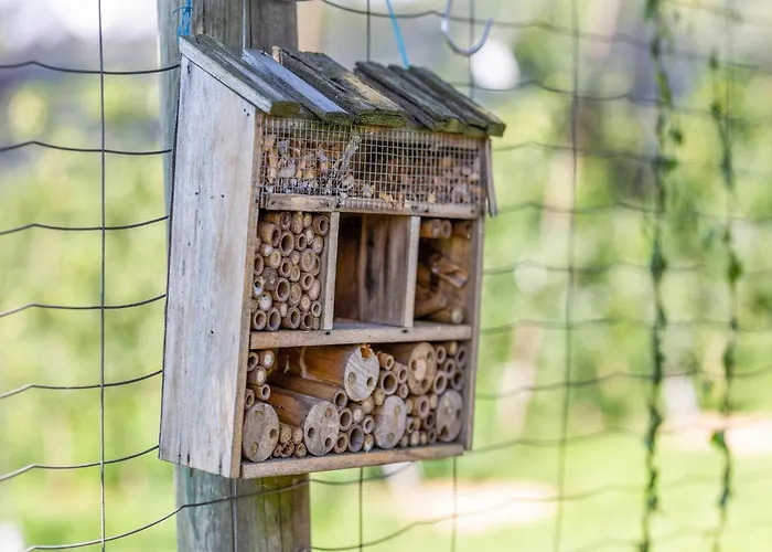 In Styria Near Thermal Spas Gersdorf an der Feistritz
