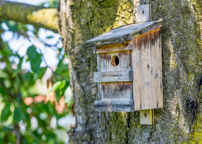 In Styria Near Thermal Spas Nyaraló *